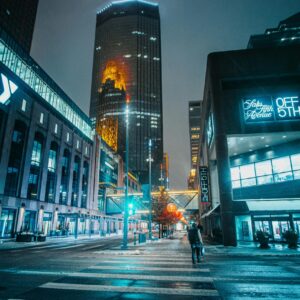 SILVER LLC Formation Package – $800